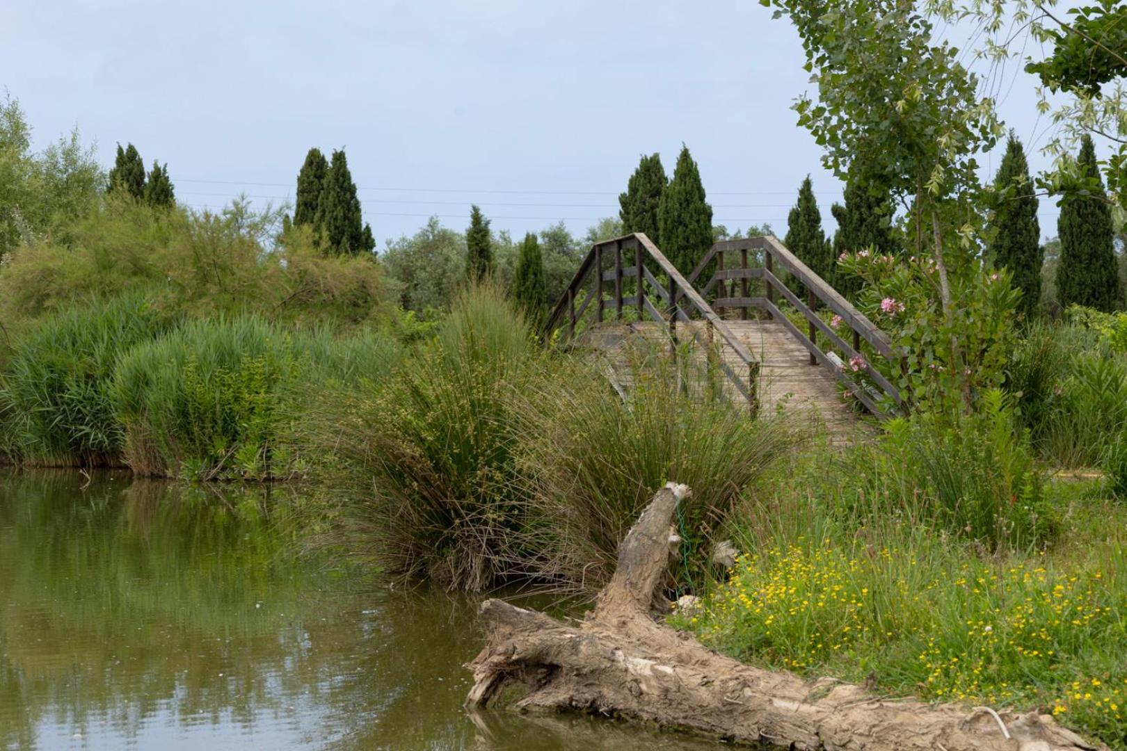 Apartamento Fattoria Il Giardo Pietrasanta Exterior foto