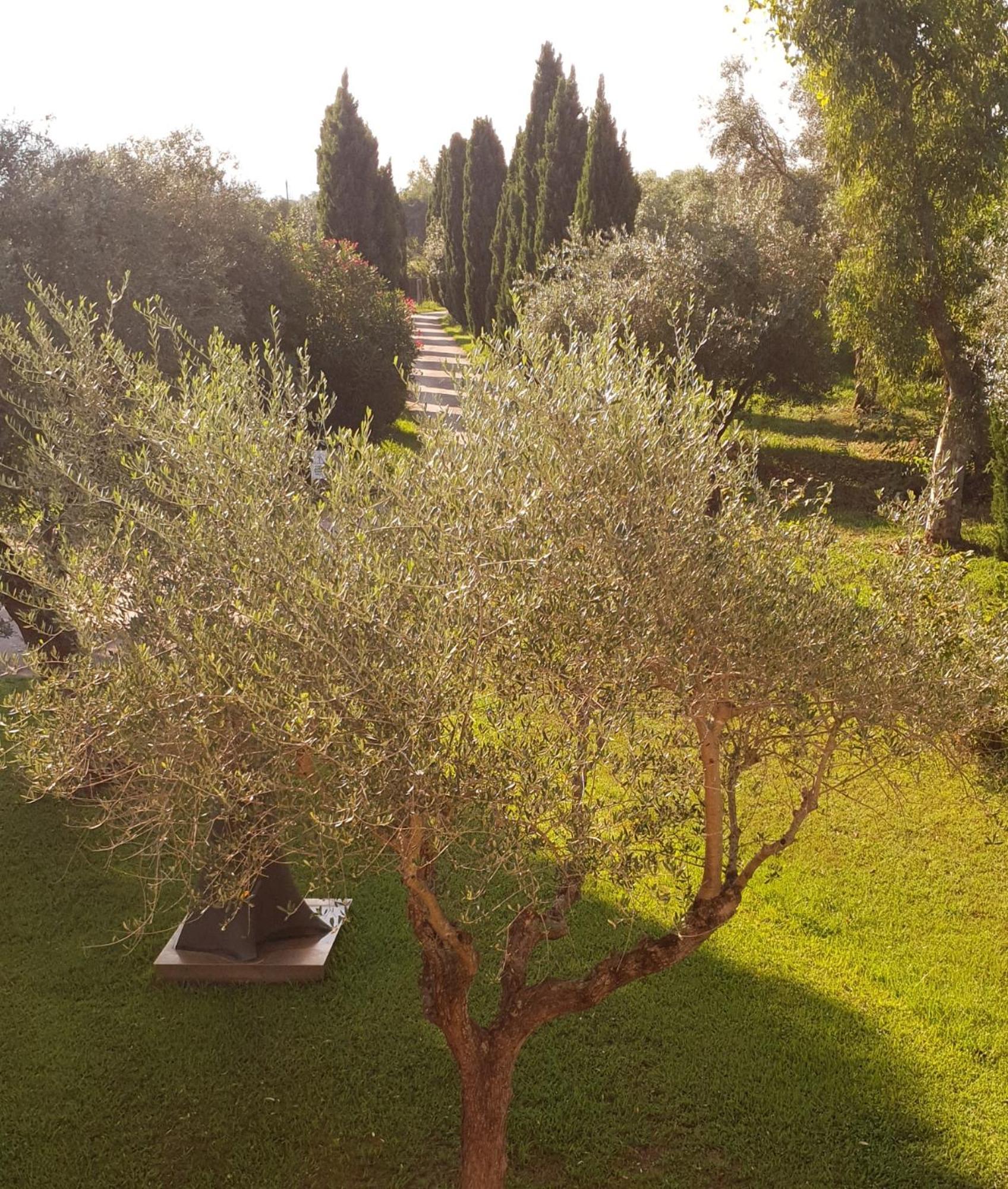 Apartamento Fattoria Il Giardo Pietrasanta Exterior foto