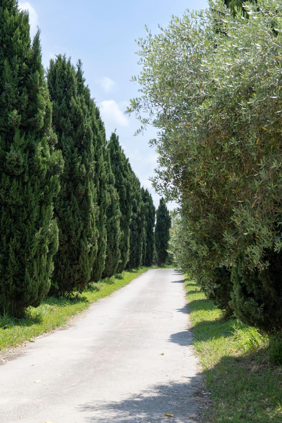 Apartamento Fattoria Il Giardo Pietrasanta Exterior foto